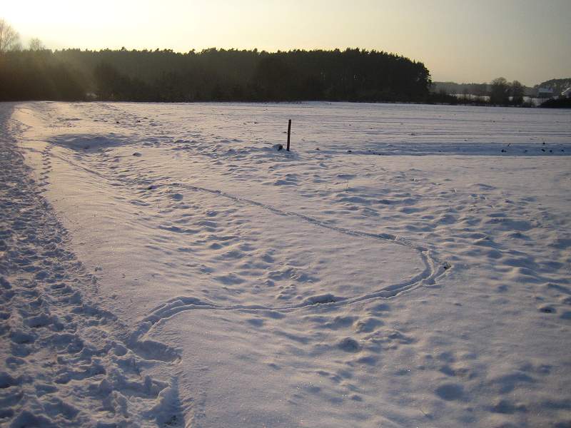 Schnee bei klirrender Kälte