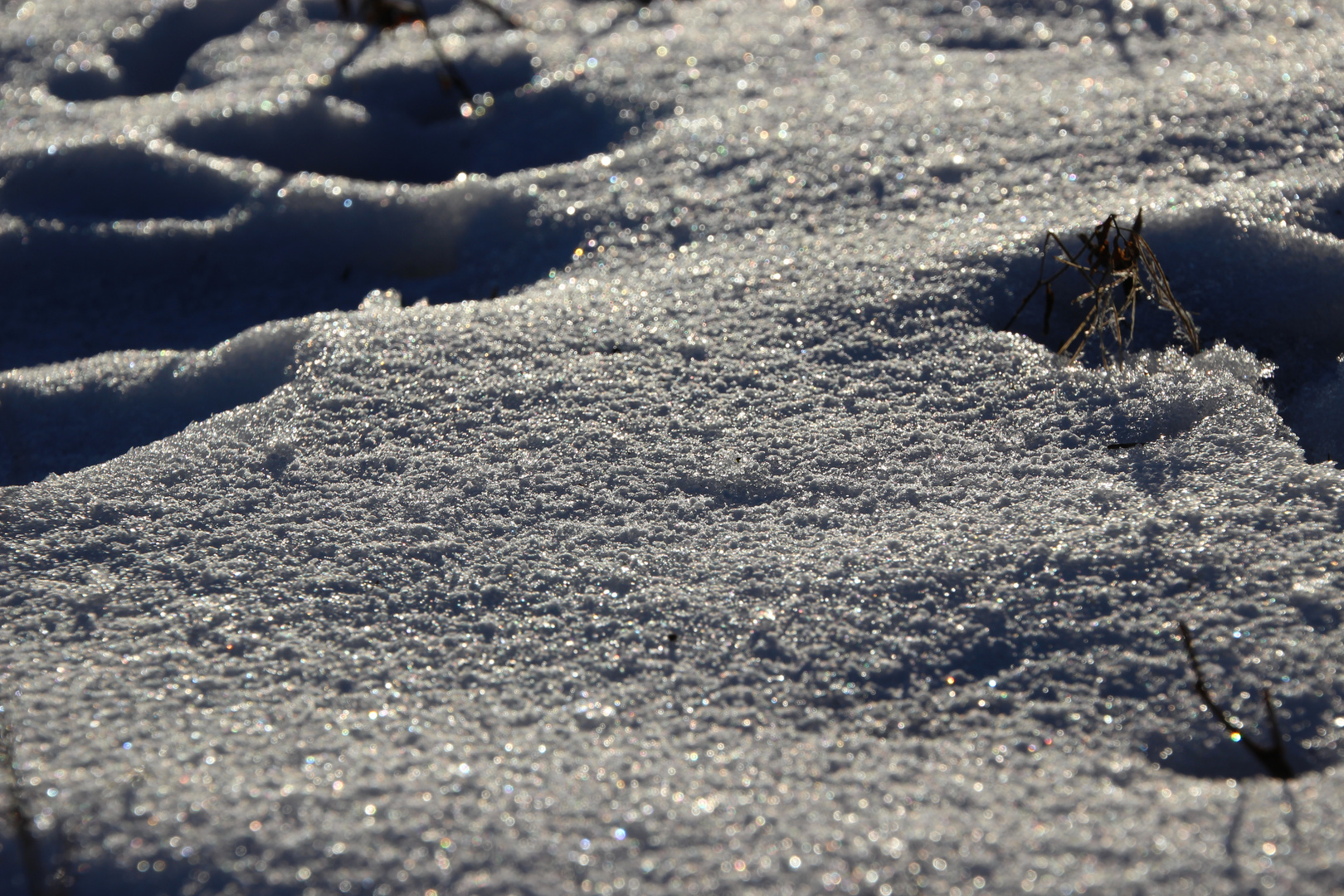 Schnee bei Sonne