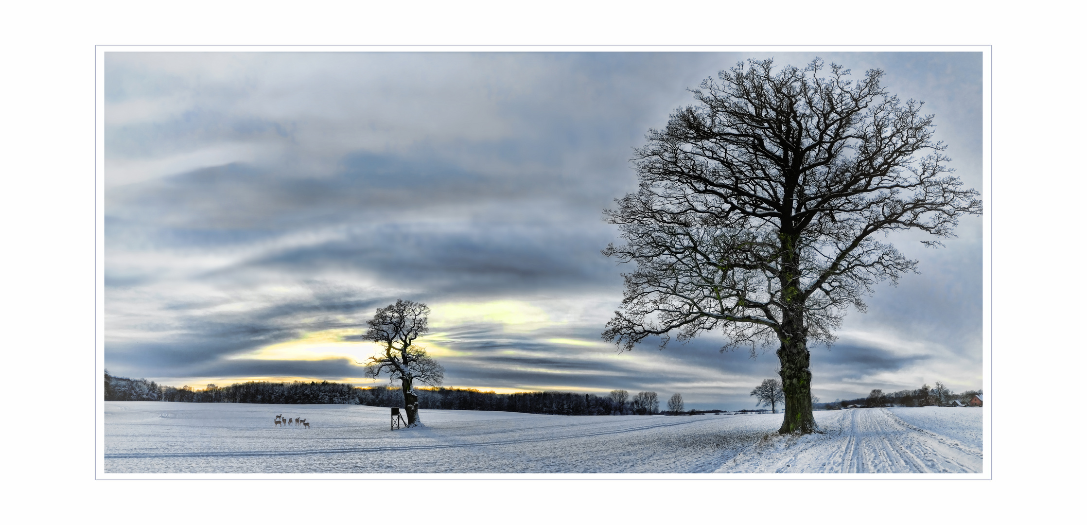 Schnee blaue Stunde