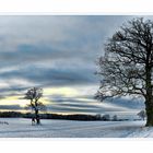 Schnee blaue Stunde