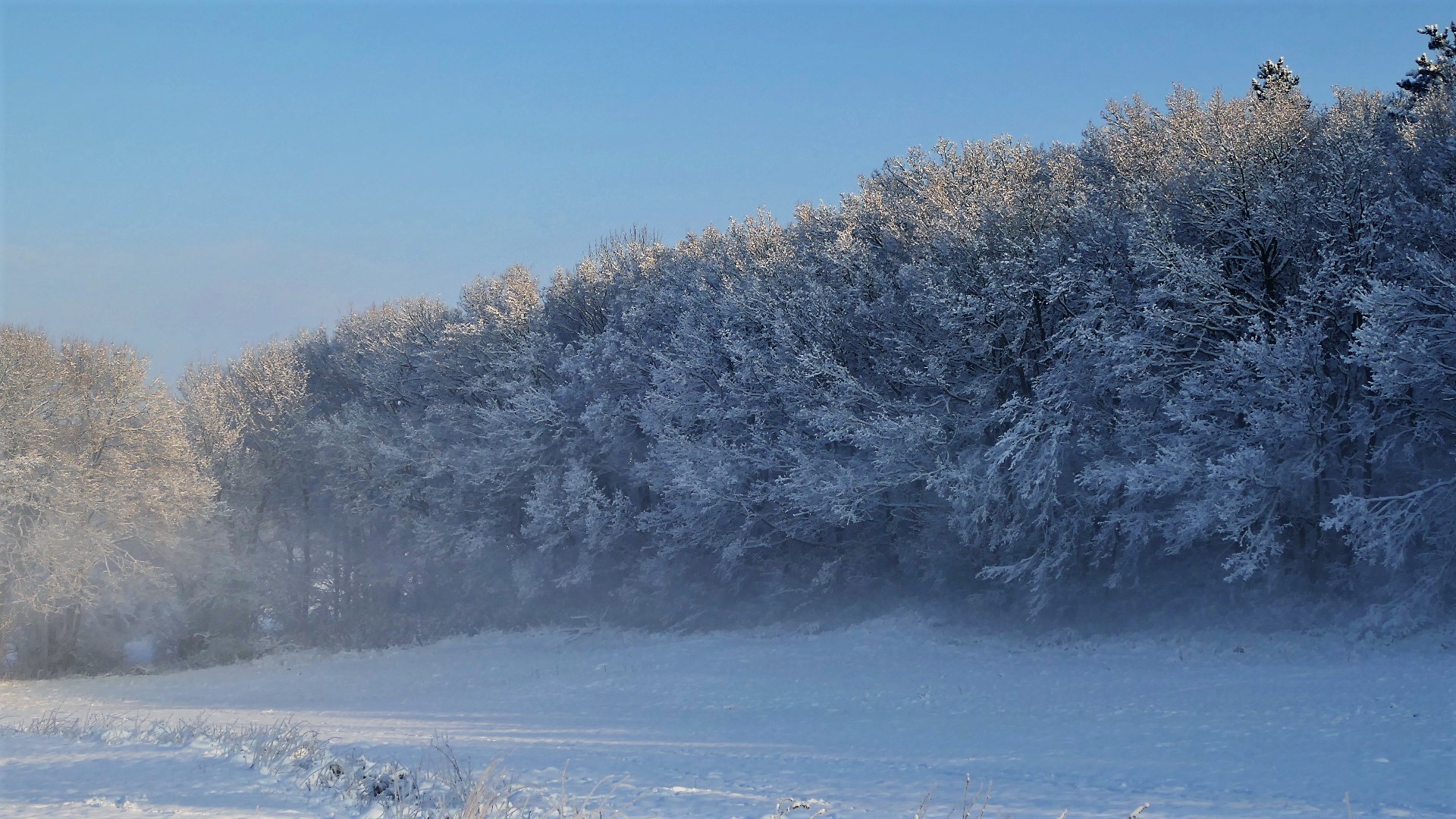 Schnee, blauer Himmel, ein bißchen Nebel