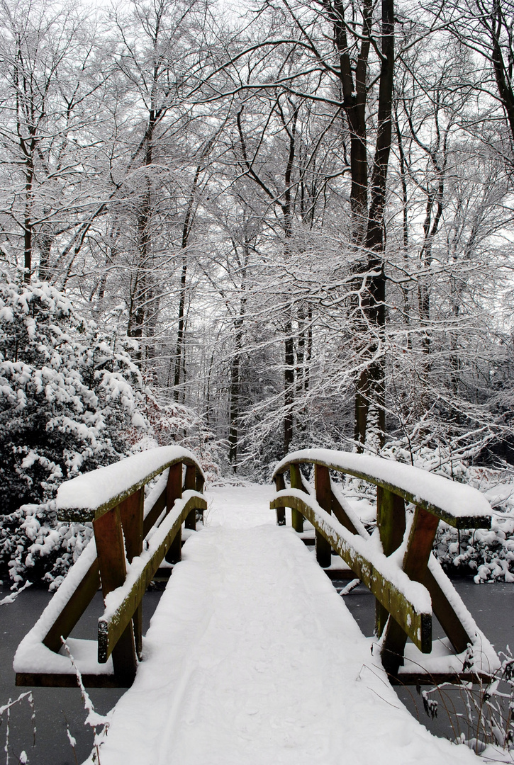 Schnee-Brücke