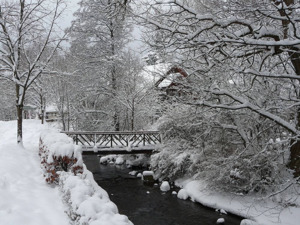 Schnee by Dorothea Rieck