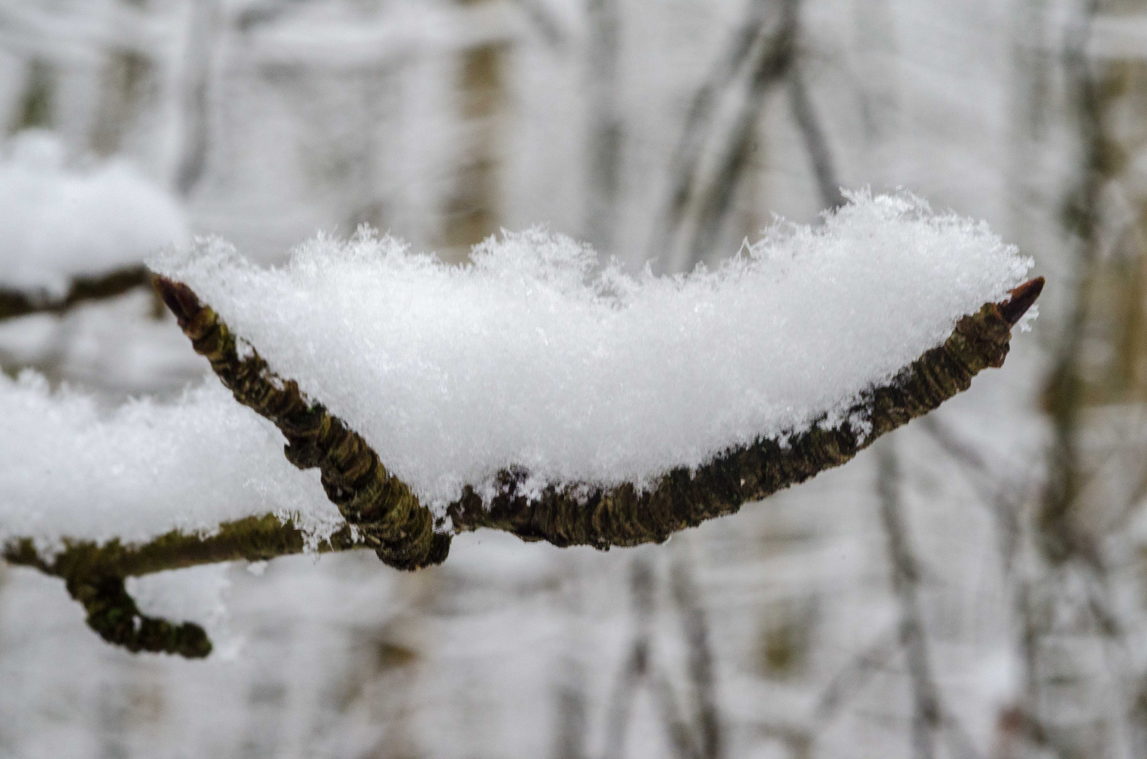 Schnee