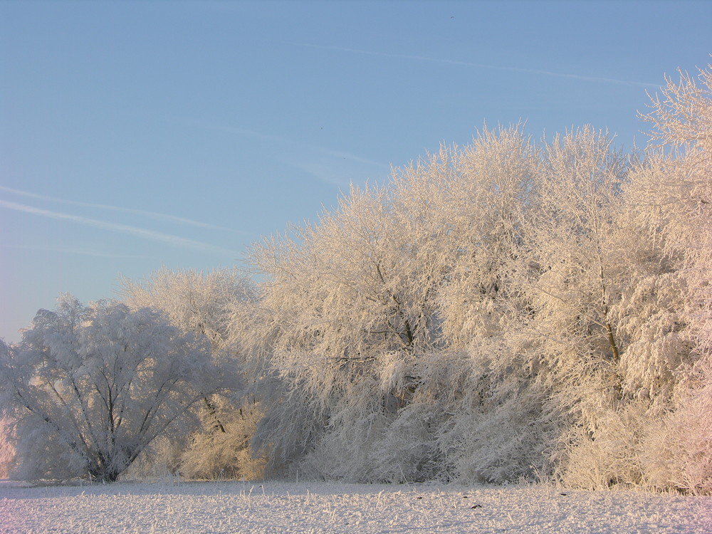 schnee