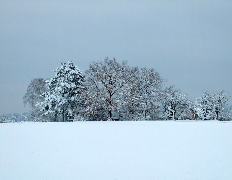 Schnee