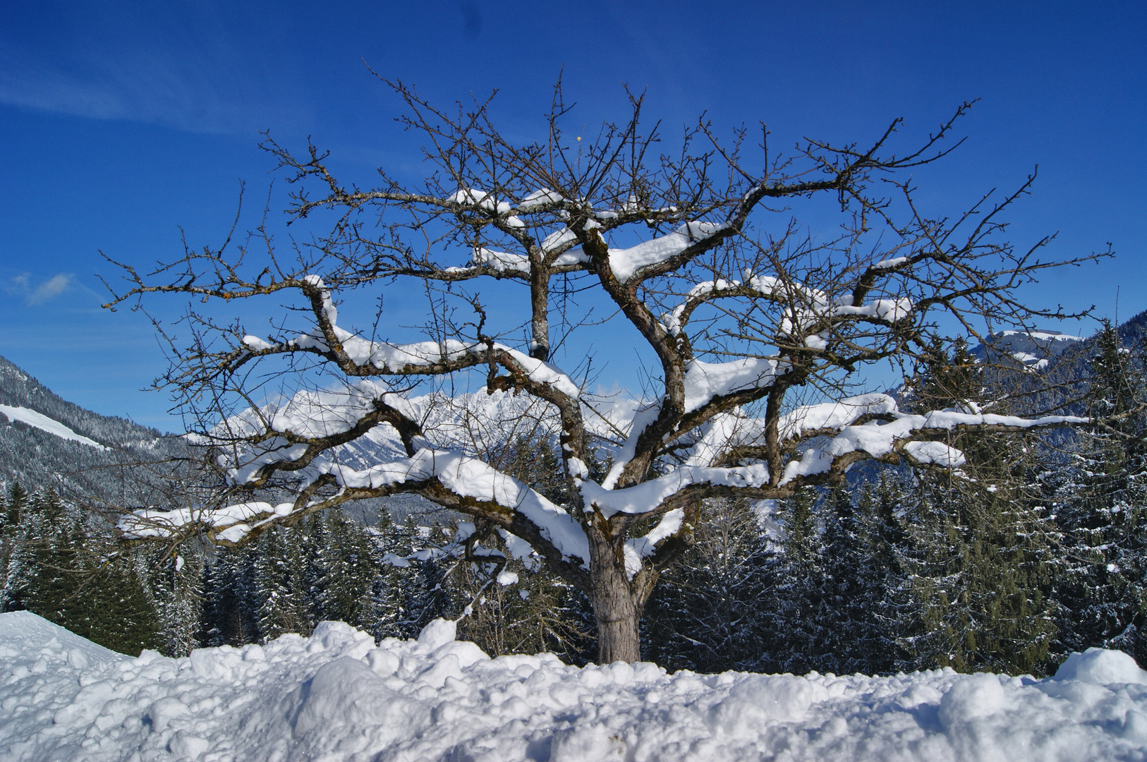 Schnee Dekoration