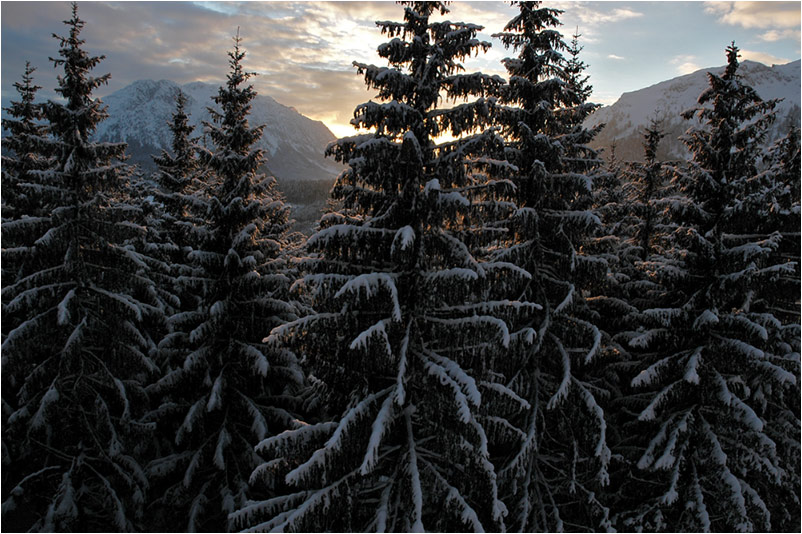 Schnee, der auf ... fällt