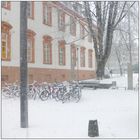 ....."Schnee, der auf Räder fällt"....