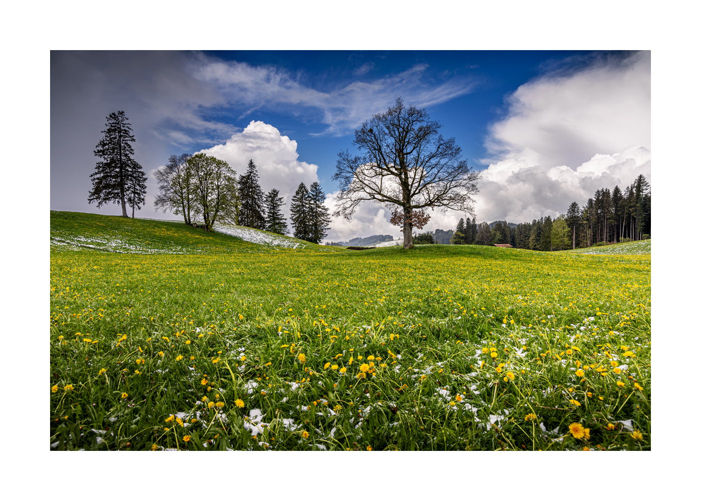 schnee der letzten tage