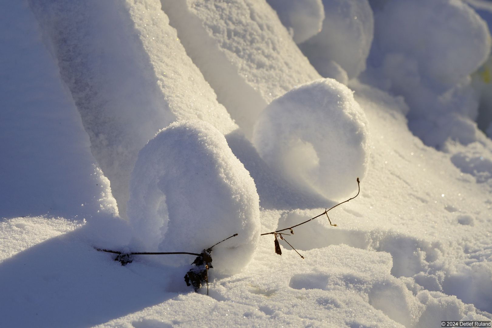 Schnee-Donut am Baumstamm #1