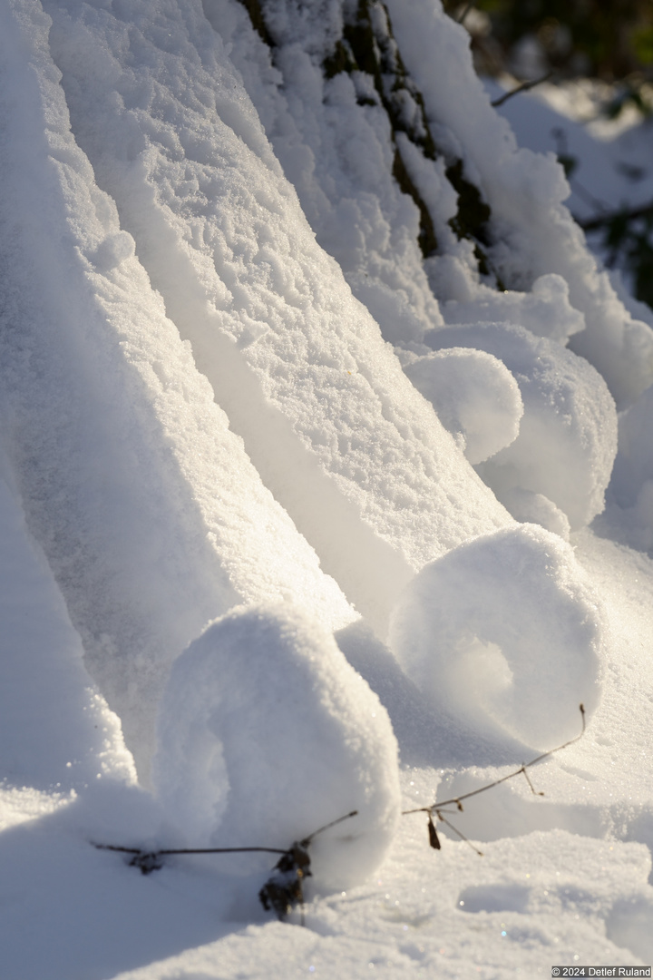 Schnee-Donut am Baumstamm #2