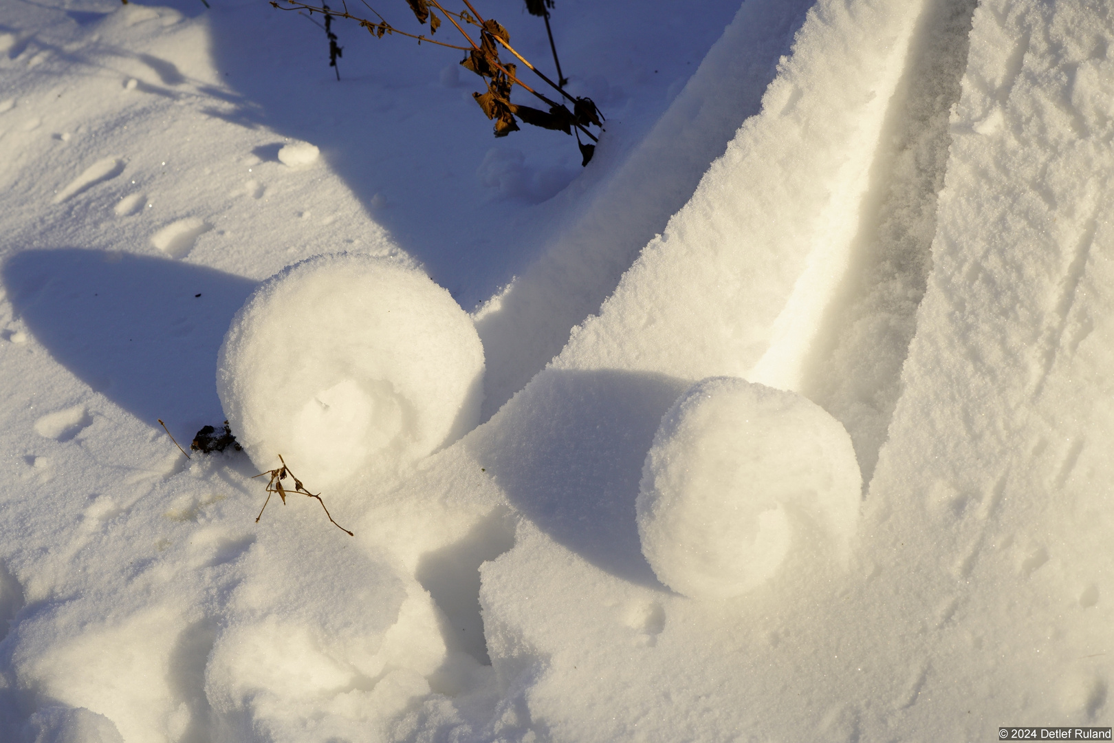 Schnee-Donut am Baumstamm #3