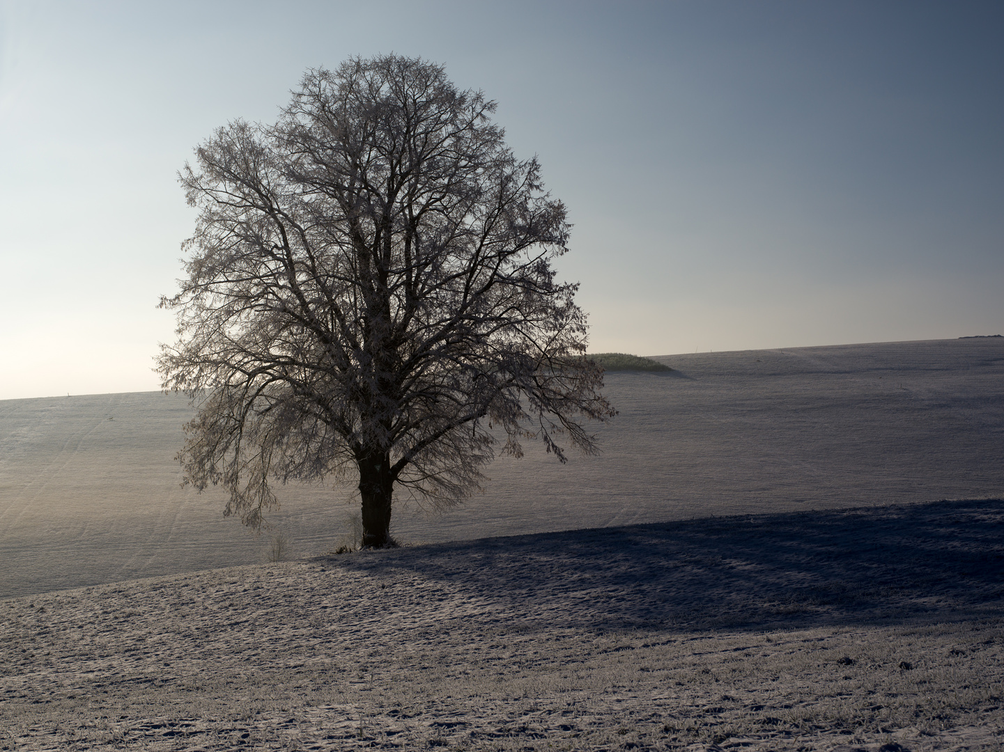 Schnee