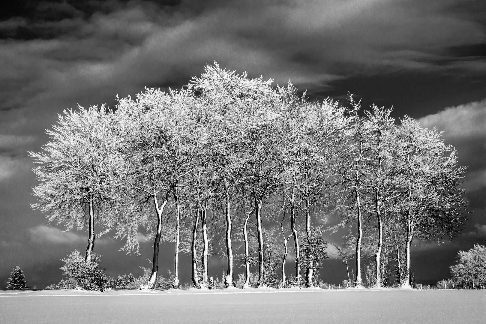 Schnee, Eis, Himmel