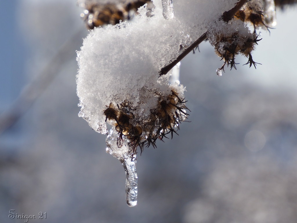 Schnee, Eis, Sonne