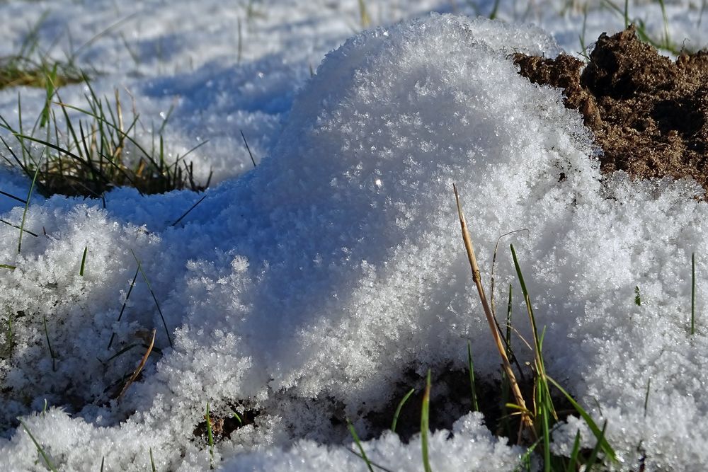 Schnee-Elefant