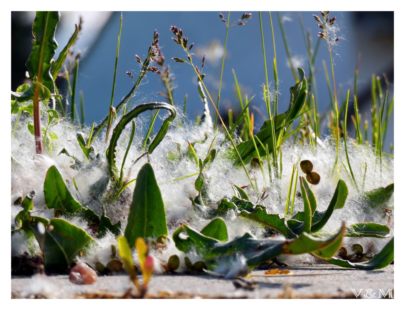 "Schnee" Ende Mai...