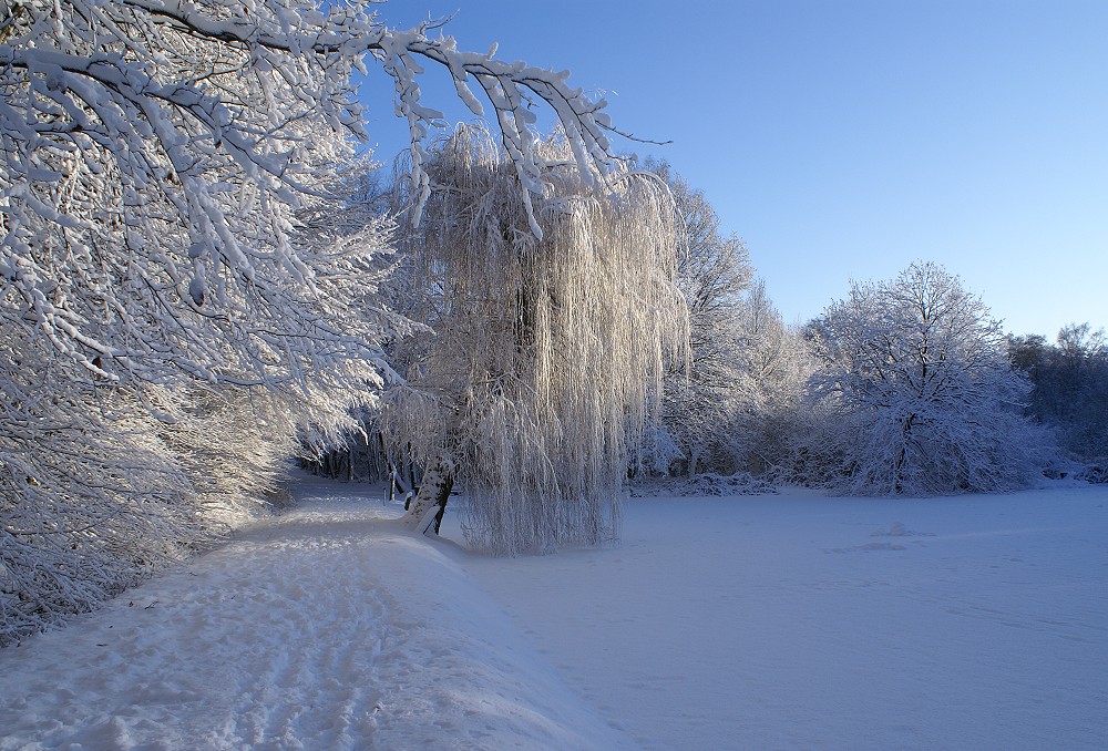 Schnee - er war nur kurz da, aber er war wunderschön