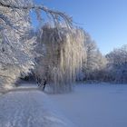 Schnee - er war nur kurz da, aber er war wunderschön