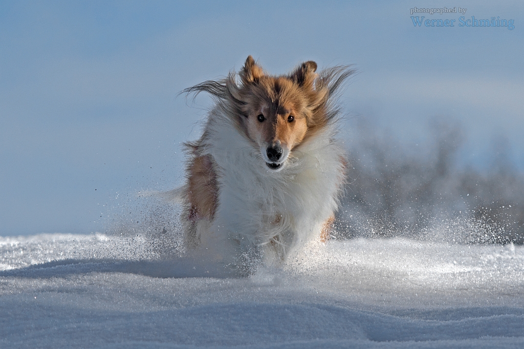 Schnee-Express