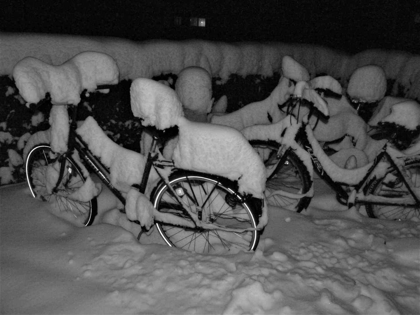 Schnee extrem 2010 - auch jetzt wieder??