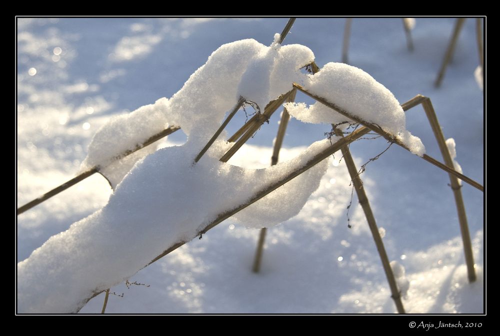 Schnee