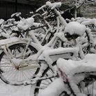 Schnee Fahrrad