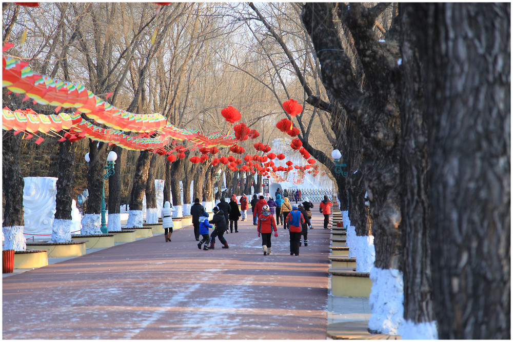 Schnee - Festival Harbin - 6299