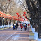 Schnee - Festival Harbin - 6299