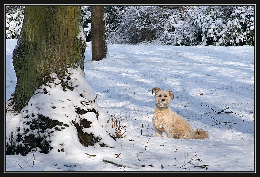 Schnee