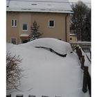 Schnee - Foto Nummer 2