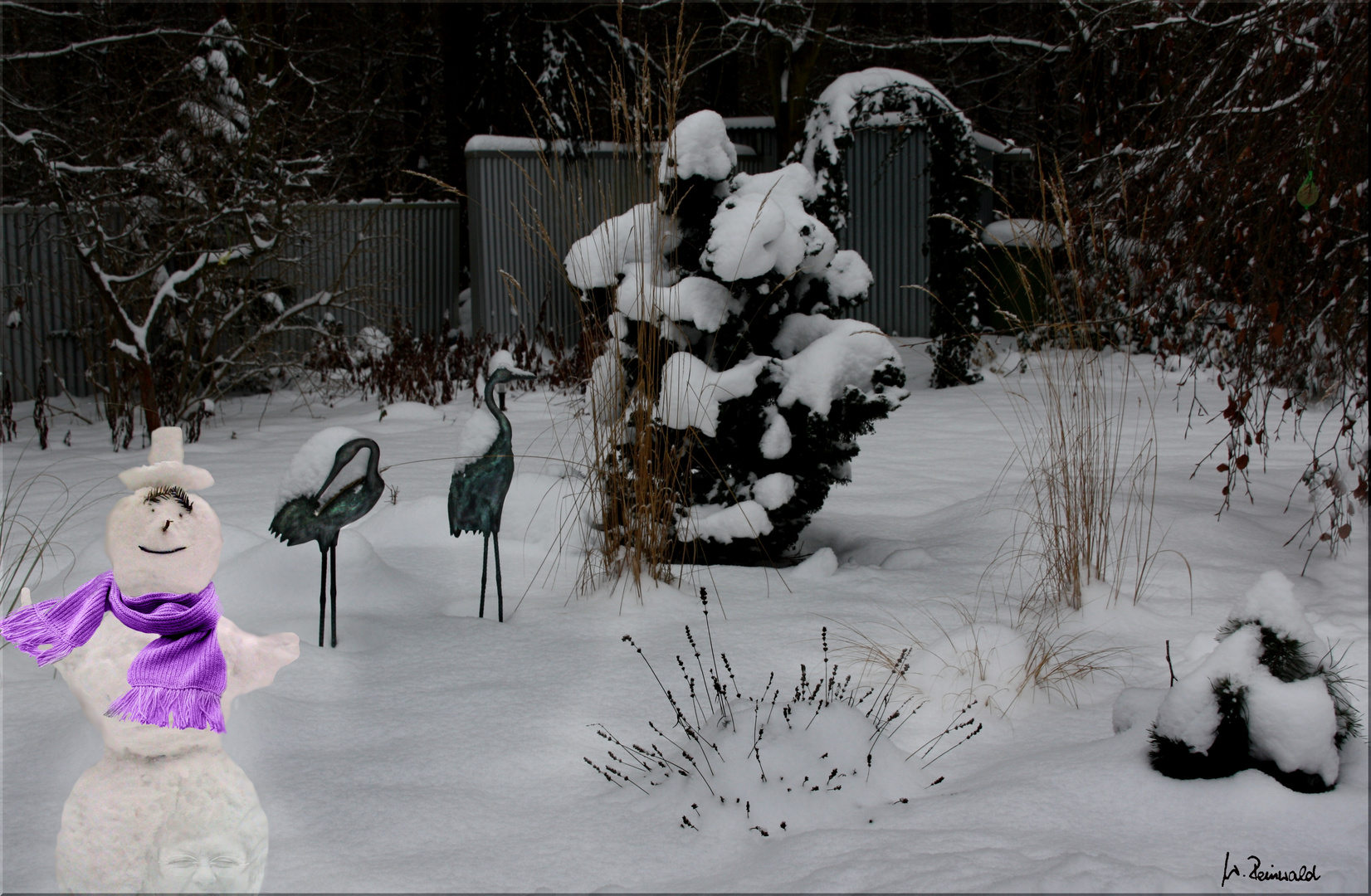 Schnee-Frau Reinwald