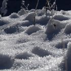 Schnee, Frost, Sonne...