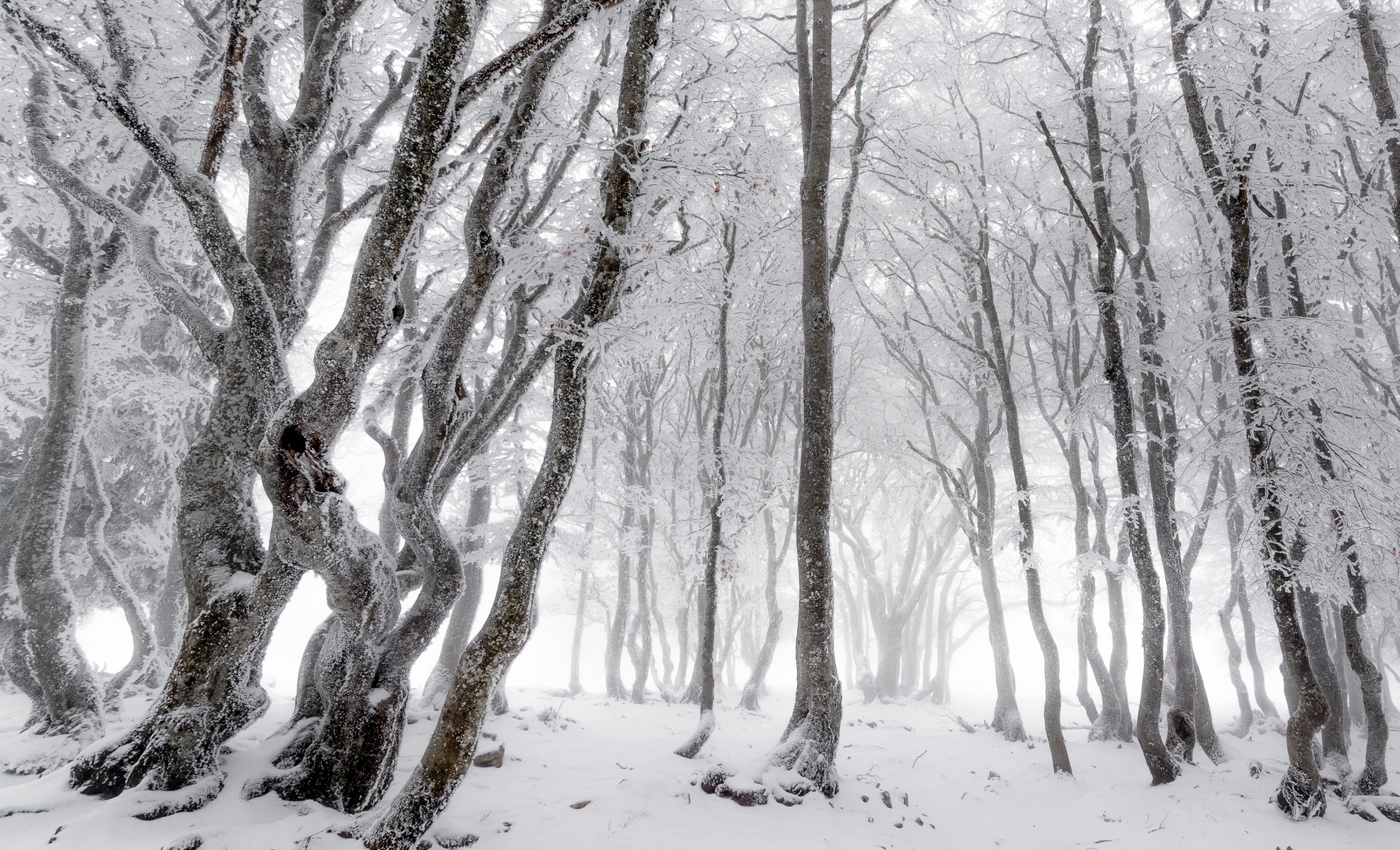 Schnee, Frost und Nebel...