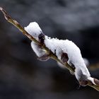 Schnee für ein.... Letzter Teil