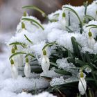 Schnee für ein.... Teil 1