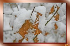 Schnee für einen Tag