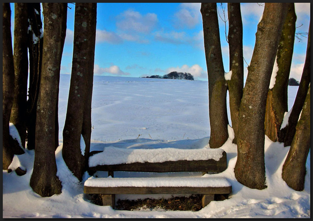 Schnee für einen Tag