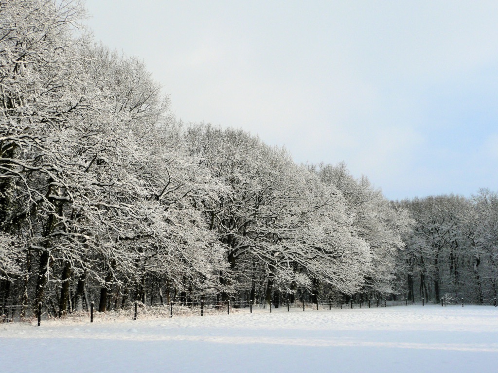 Schnee gab es schon lange nicht