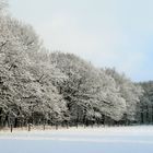 Schnee gab es schon lange nicht