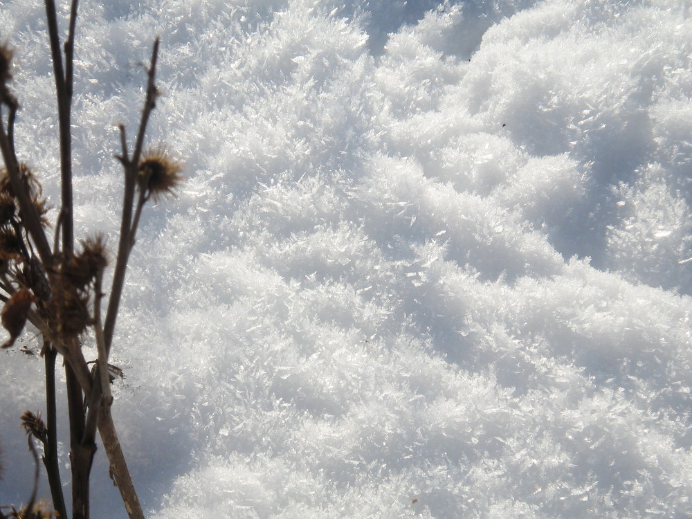 Schnee ganz nah betrachtet