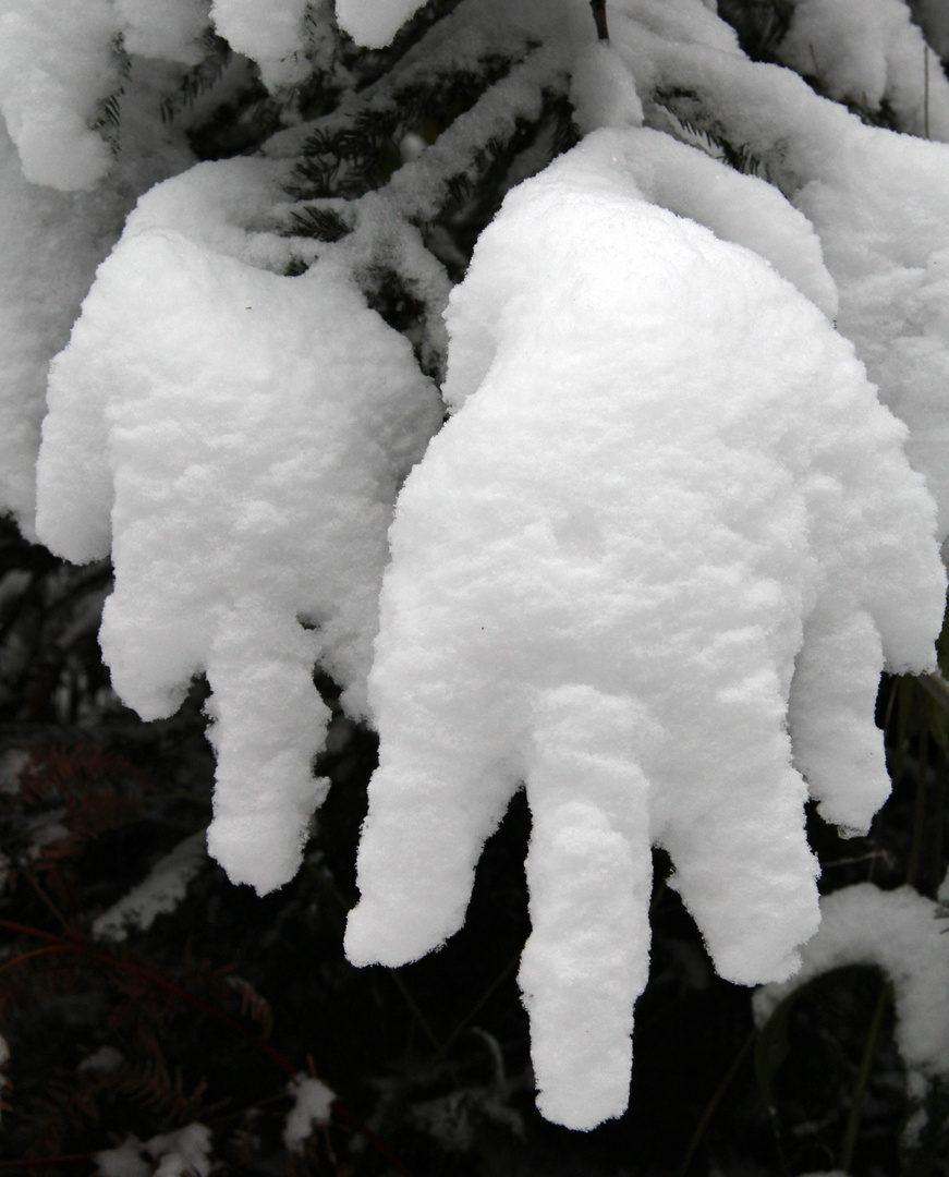 Schnee-Hände