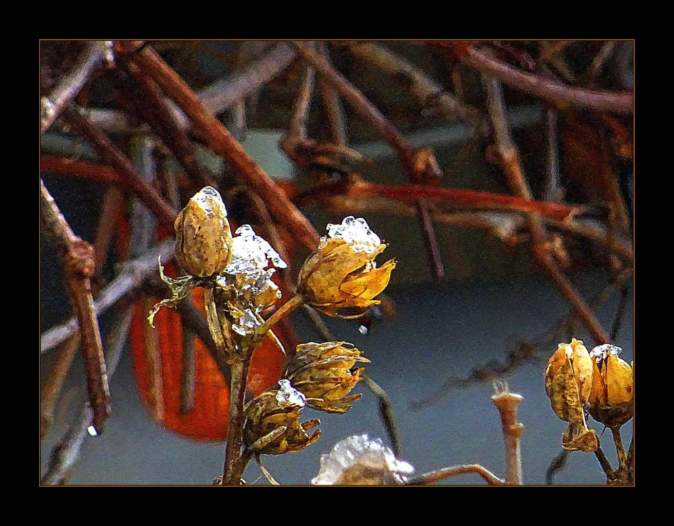 Schnee-Häubchen