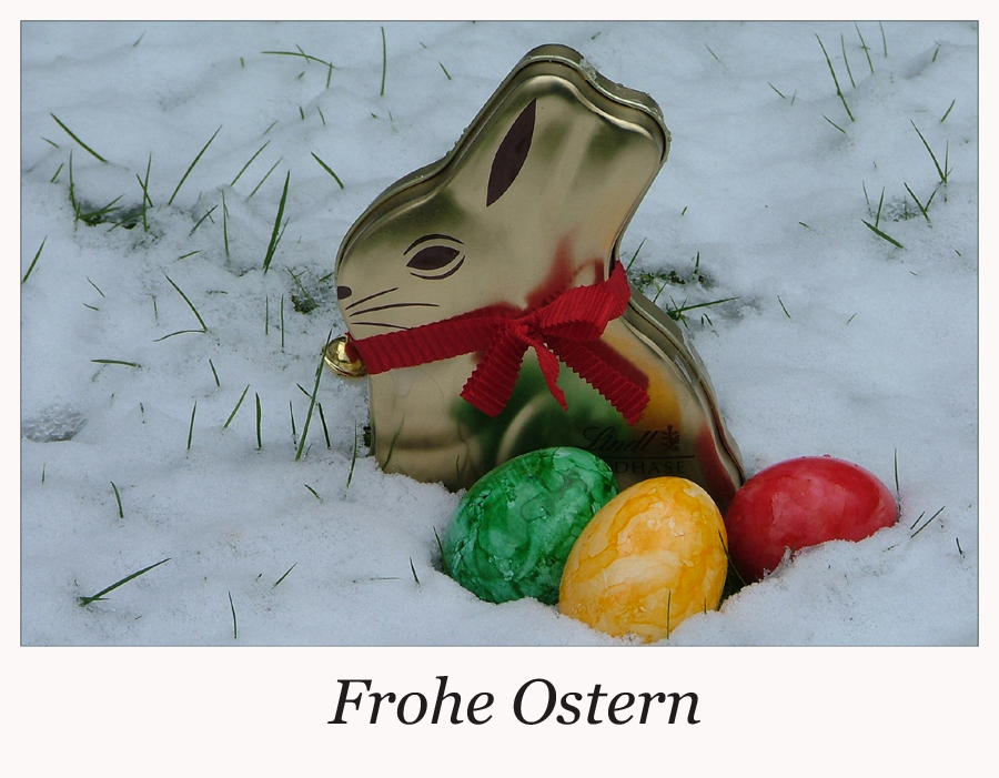 Schnee-Hase