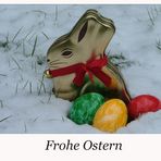 Schnee-Hase