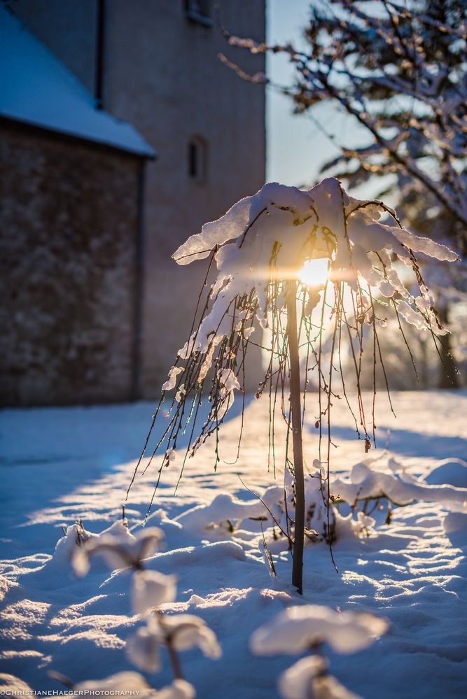 Schnee hat ja auch irgend etwas, oder ?