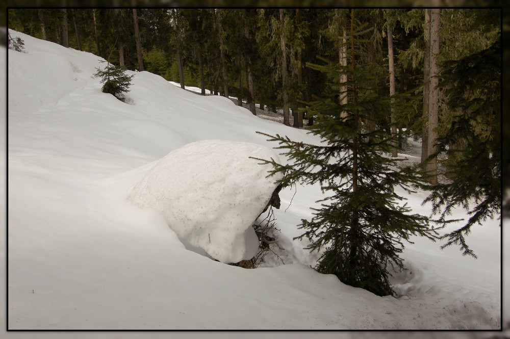 Schnee - Hexe / La strega della neve