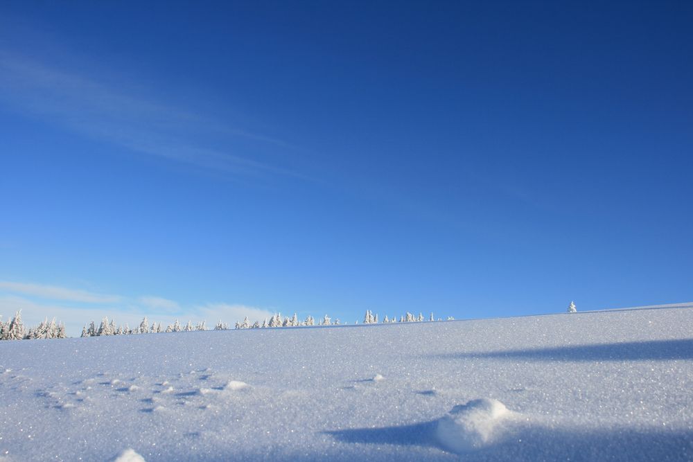 Schnee, Himmel und Schatten von Steiner Michael 