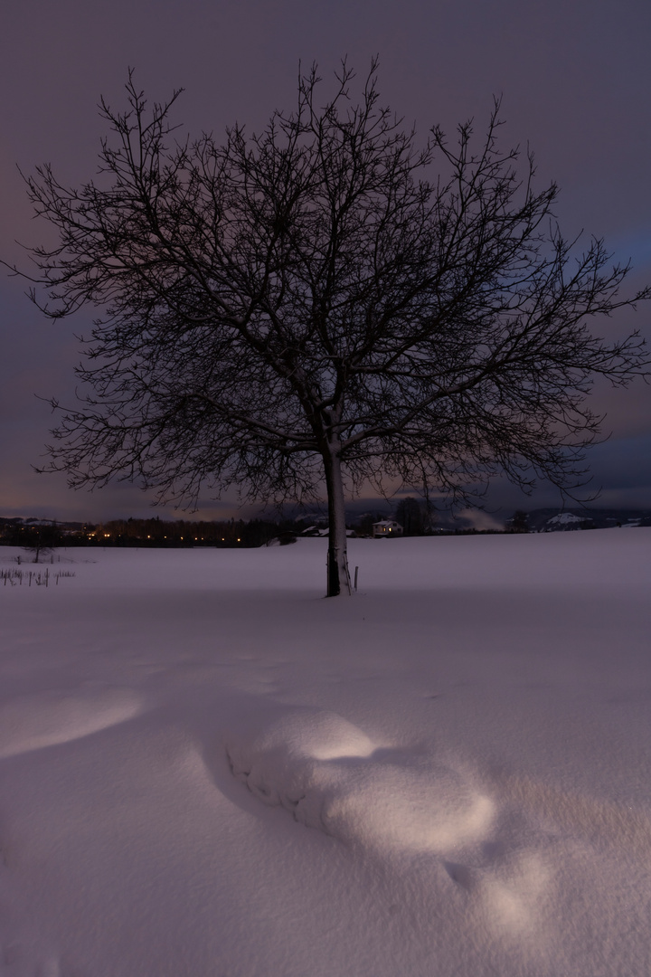 schnee im abendlicht